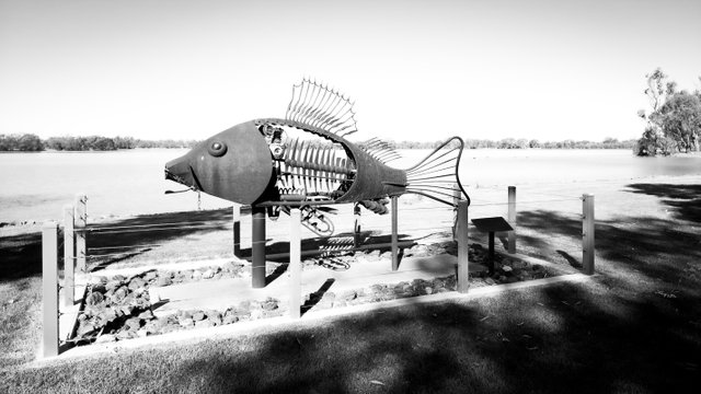 20250510_130721.jpg