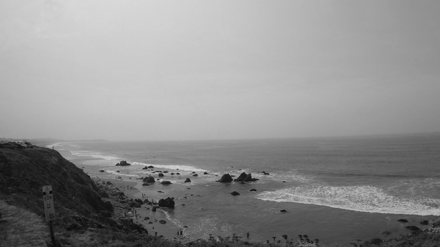 YI018701.MP4_20171015_020953.917-bw-ocean-life-a-better-way-#321.png