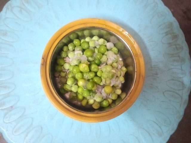IMG20250402153148.jpg