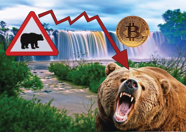 bear-market-steemit.jpg
