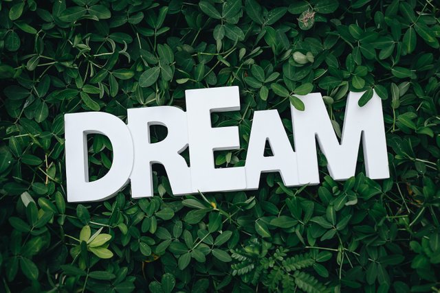 dream-text-on-green-leaves-1535907.jpg