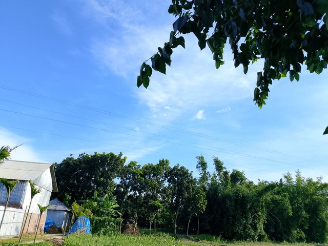 1000045804.jpg