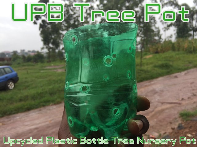 UPB Tree Pot.JPG