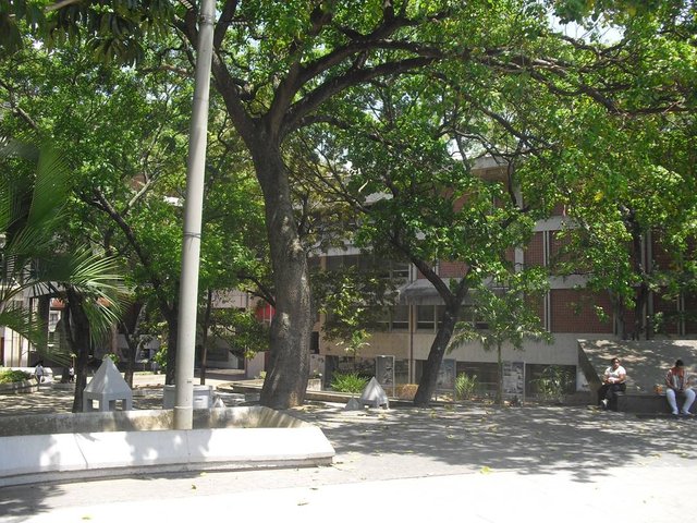 CIMG0108.JPG