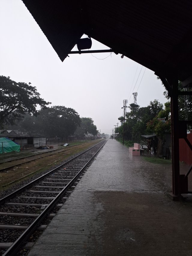 20250802_172616.jpg