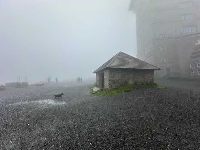 IMG_0213.jpeg
