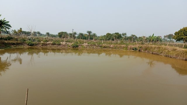 IMG_20240212_142242_2.jpg