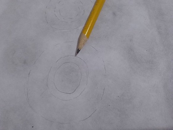 1000169550.jpg