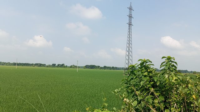 IMG_20240918_103059_7.jpg