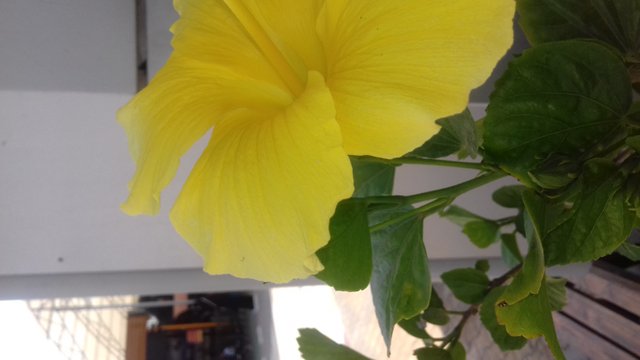 20190726_153155.jpg