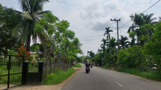 20250321_135431.jpg