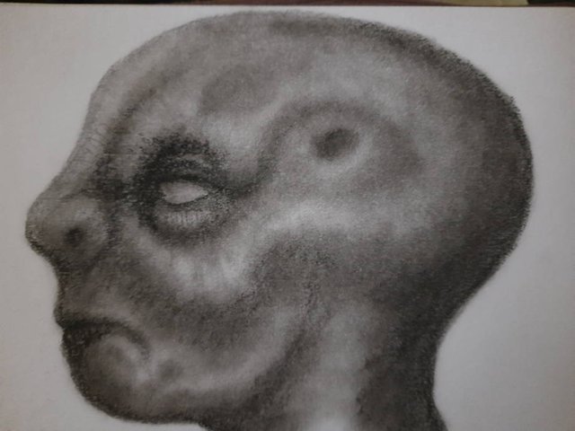 20250824_100701.jpg