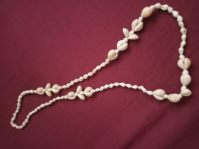 IMG20220206113639.jpg