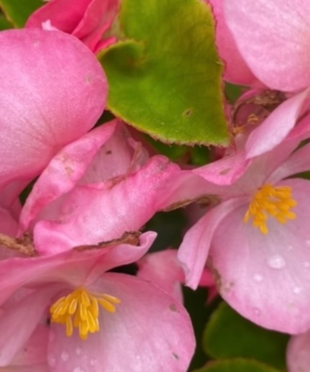 IMG_4861.jpeg