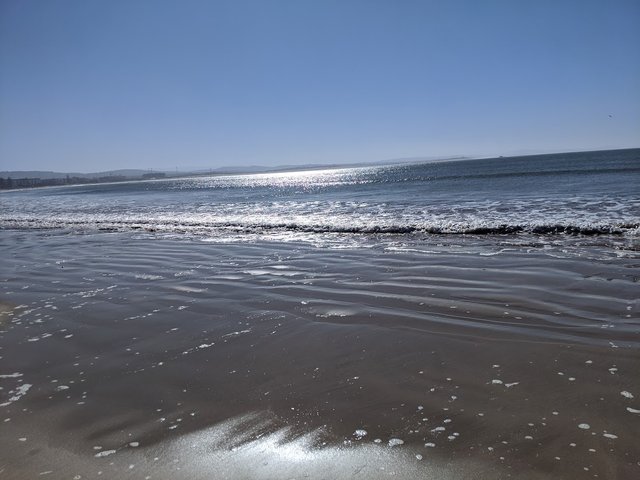 IMG_20191210_125556.jpg