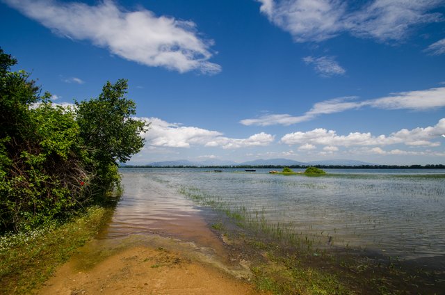 DSC_0021.jpg