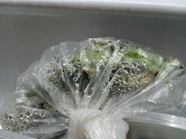 1000051949.jpg