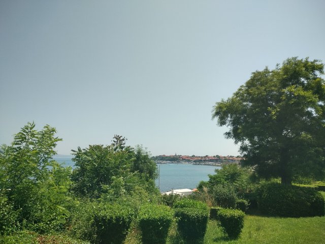 IMG_20250619_120219_HDR.jpg