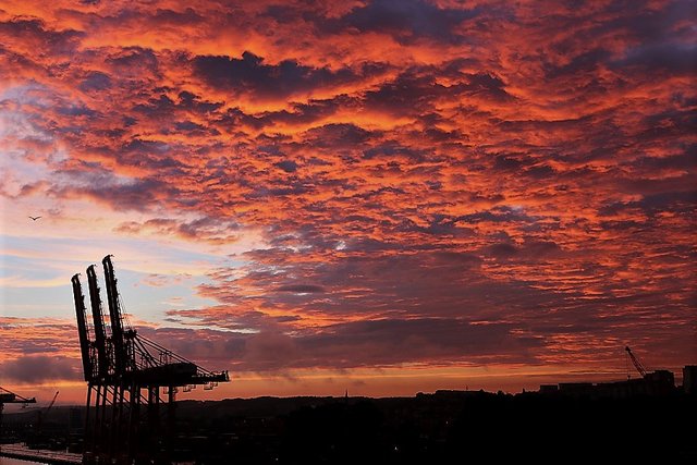 Sky over the port.jpg