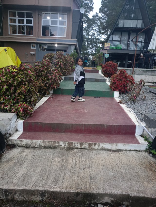 IMG20250406180926.jpg