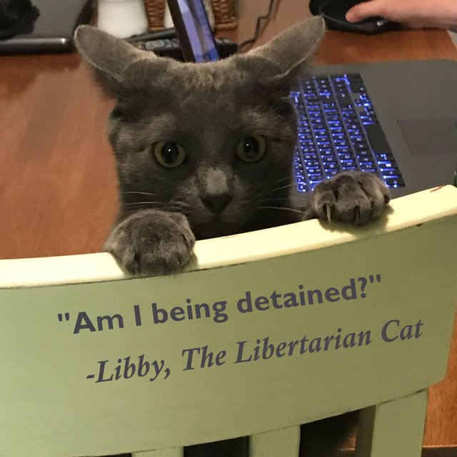 Libby Detained sm.jpg
