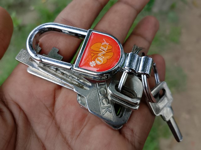 1000046169.jpg