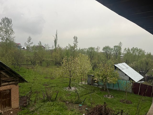 IMG_3330.jpeg