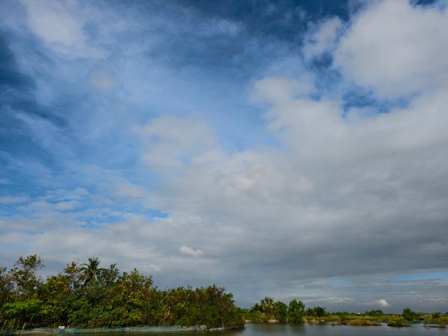 IMG_20250317_081941 (1).jpg