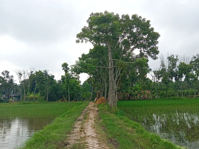IMG_20250816_064102.jpg