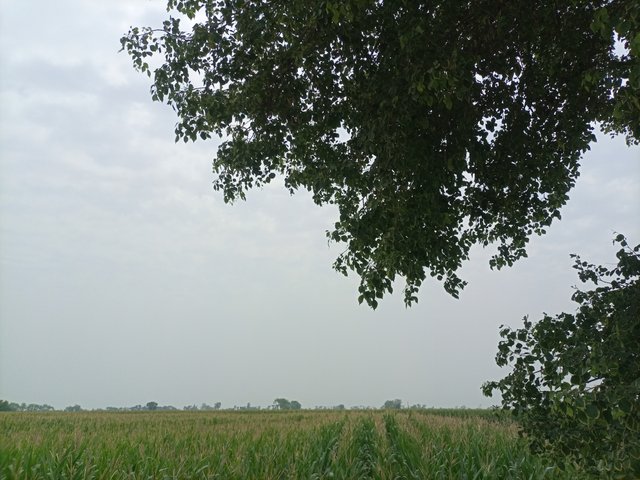 IMG_20250505_123519_142.jpg