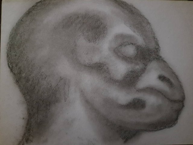 20250609_110750.jpg