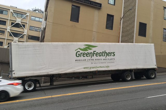 greenfeathers.info.jpg