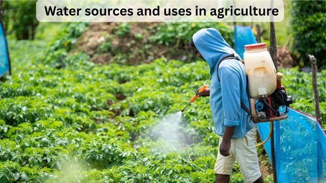 Water sources and uses in agriculture.jpg