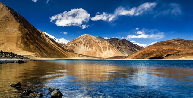 natures-nest-pangong-lake.jpeg