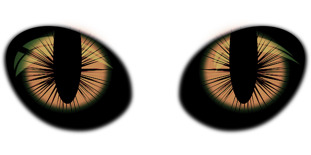 eyes-vector-1639322_640.png