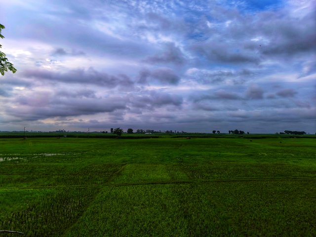 IMG_20250710_175429.