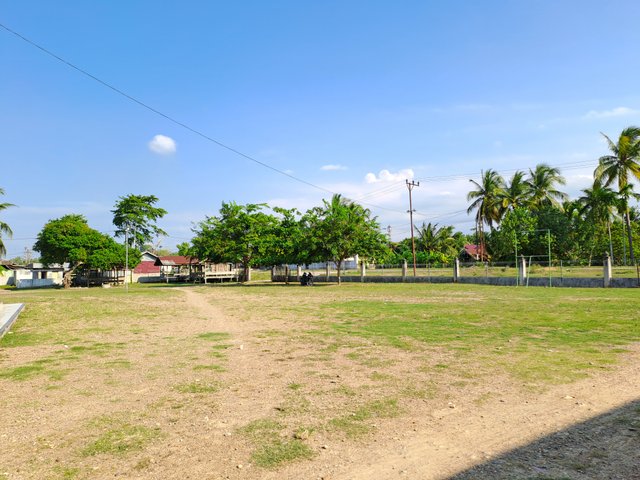 1000376293.jpg