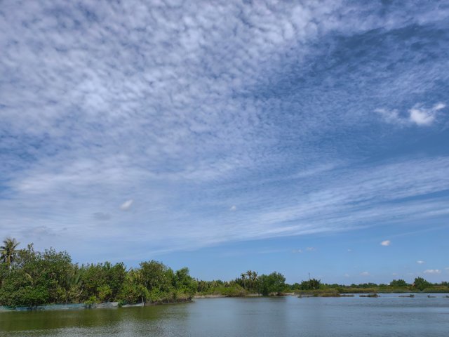 IMG_20250521_090316.jpg