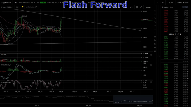 Flash Forward.png