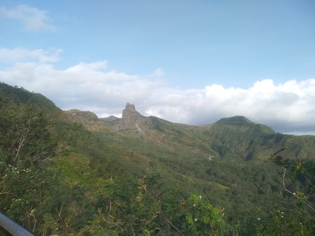 IMG_20240711_153906.jpg