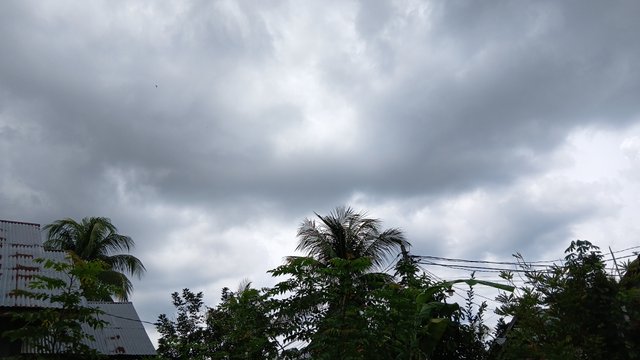 1000004924.jpg