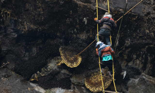 short-nepal-honey-hunting-tour-from-kathmandu.png