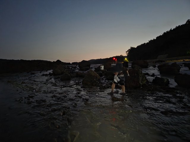 20250806_201833.jpg