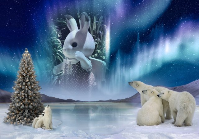 Bunny in northern_lights.jpg