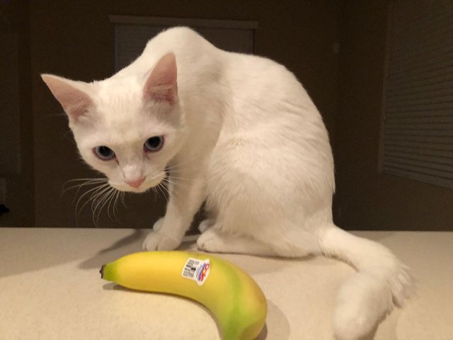 banana.jpg