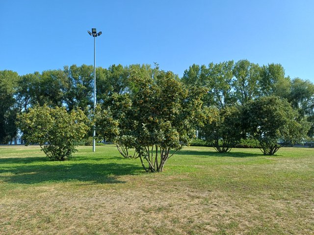 20250810_090427.jpg
