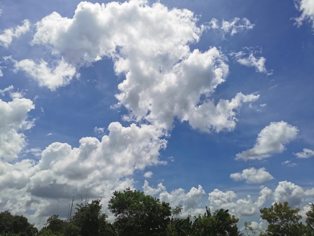 IMG_20240831_125529.jpg