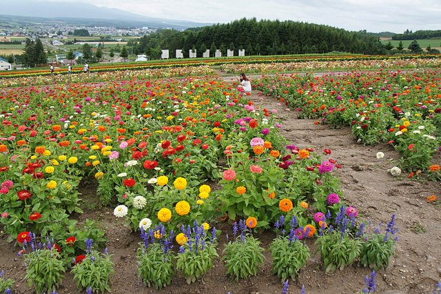 Japan-Hokkaido12802-1007.jpg