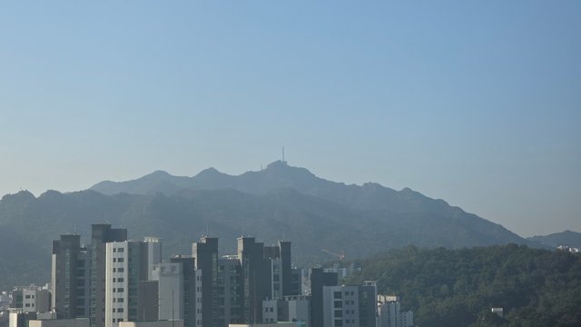 1000140732.jpg