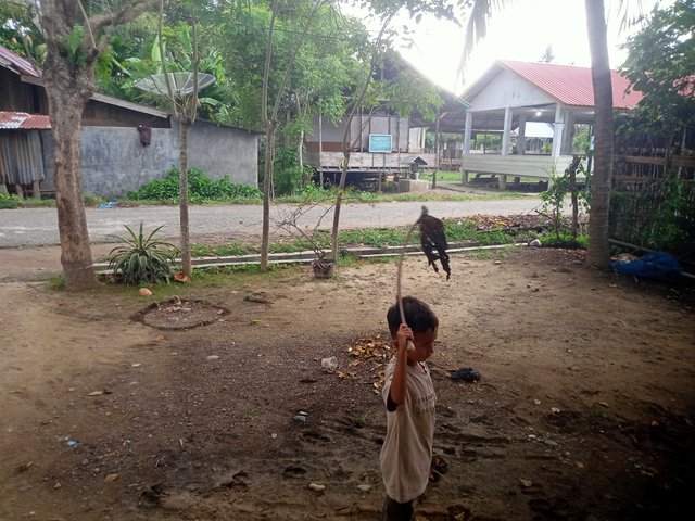 IMG20250908163252.jpg